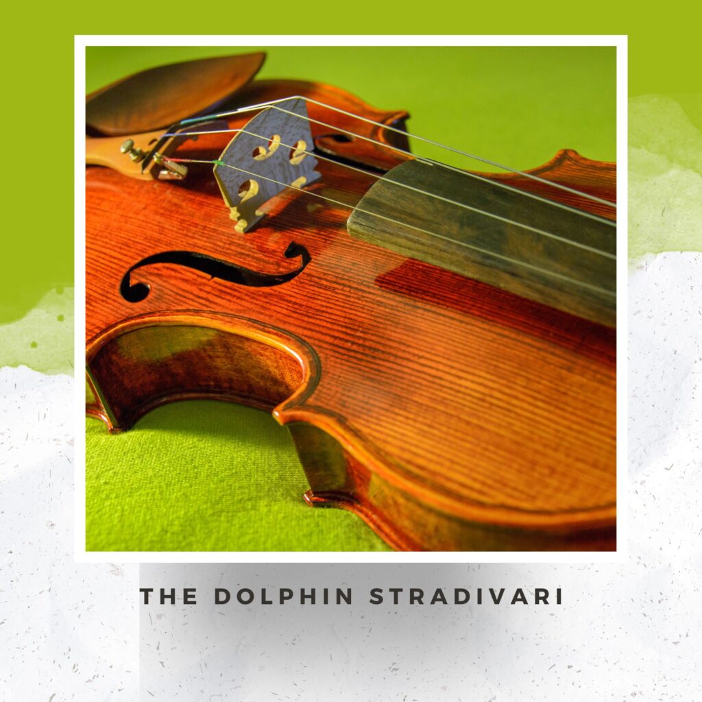 The Dolphin Stradivari