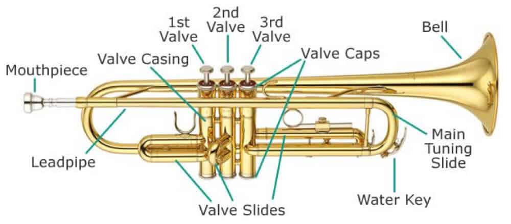 Different parts and components of a trumpet.